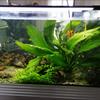 Acquario completo